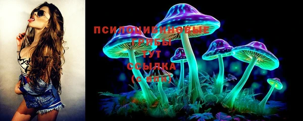 мяу мяу мука Аркадак